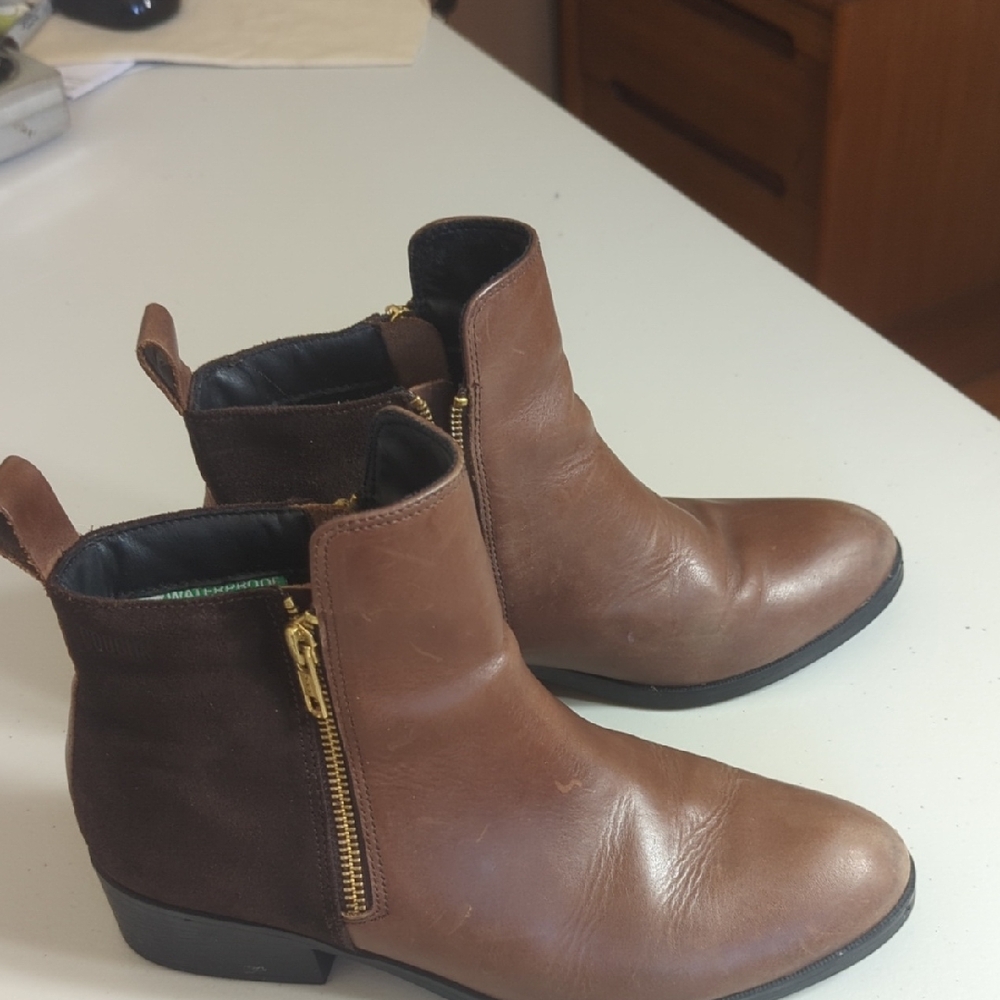 Cougar Brown and Dark Brown Ankle Boots